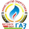 Logo of FC Gazovik Vitebsk