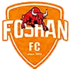Logo of Foshan Sports (w)