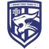 Logo of Wuhan Three Towns 05