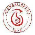Logo of Torbali Belediyespor