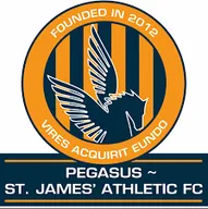 Logo of Pegasus