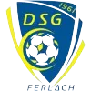 Logo of DSG Ferlach
