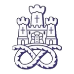 Logo of Newcastle Town FC