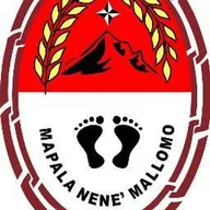 Logo of Nene Mallomo