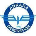 Logo of Ankarademirspor