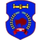 Logo of Nadezhda Baranovici