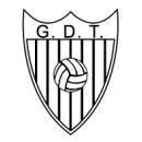 Logo of Tourizense