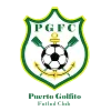 Logo of Puerto Golfito