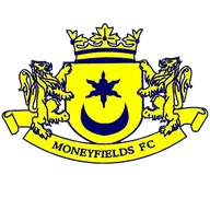 Logo of Moneyfields