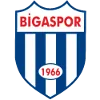 Logo of Bigaspor