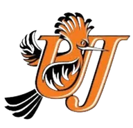 Logo of University of Johannesburg FC