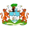 Logo of Freetown City