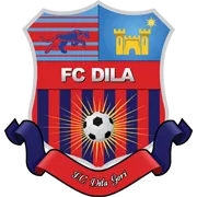 Logo of Dila Gori