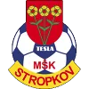 Logo of TeslaStropkov