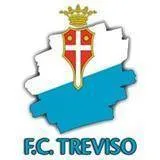 Logo of Treviso