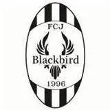 Logo of FC Jyvaskyla Blackbird