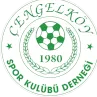 Logo of Sanger