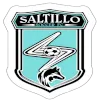 Logo of Saltillo FC