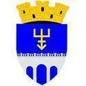 Logo of Edinet