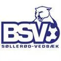 Logo of Sollerod Vedbaek