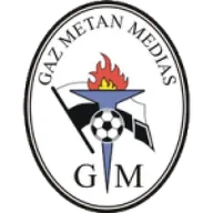 Logo of Gaz Metan Medias