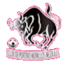 Logo of CD Novillos Neza