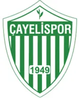 Logo of Cayelispor