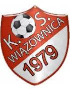 Logo of KS Wiazownica
