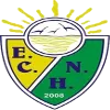 Logo of Novo Horizonte