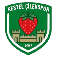 Logo of Kestel Çilekspor