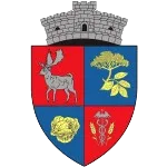 Logo of CS Socodor