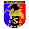 Logo of MSA FC