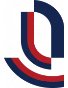 Logo of Chongqing Liangjiang Athletic