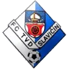 Logo of Slavicin