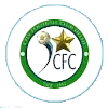 Logo of City FC
