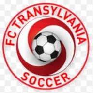 Logo of FC Transylvania