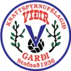 Logo of UMF Vidir