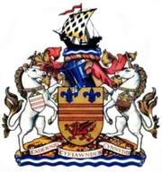 Logo of Barry Town (w)