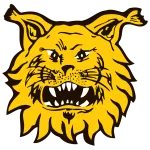 Logo of Ilves II (w)