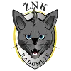 Logo of ZNK Radomlje (w)