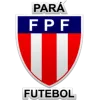 Logo of Campeonato Paraense tournament