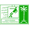 Logo of Saudi Arabia Youth League tournament