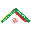 Logo of Welsh Cymru Championship tournament