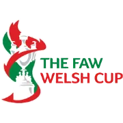 Logo of Welsh Cup tournament