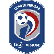 Logo of Paraguayan Primera Division tournament