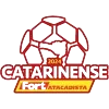 Logo of Brazilian Campeonato Catarinense Division 1 tournament