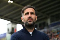 Fabregas vẫn trong cuộc đua giành ghế HLV Bundesliga: 'Chưa ứng viên nào từ chối chúng tôi'