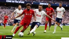 Nhận định Liverpool vs Tottenham vòng 30 Ngoại hạng Anh khi Gà trống khủng hoảng trầm trọng