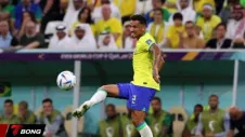 Brazil "Khóa Sổ" Hàng Thủ Trao Vé Sớm Dự World Cup Cho Danilo