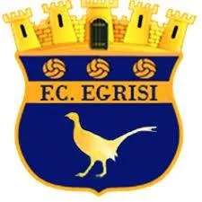 Logo of Egrisi Senaki